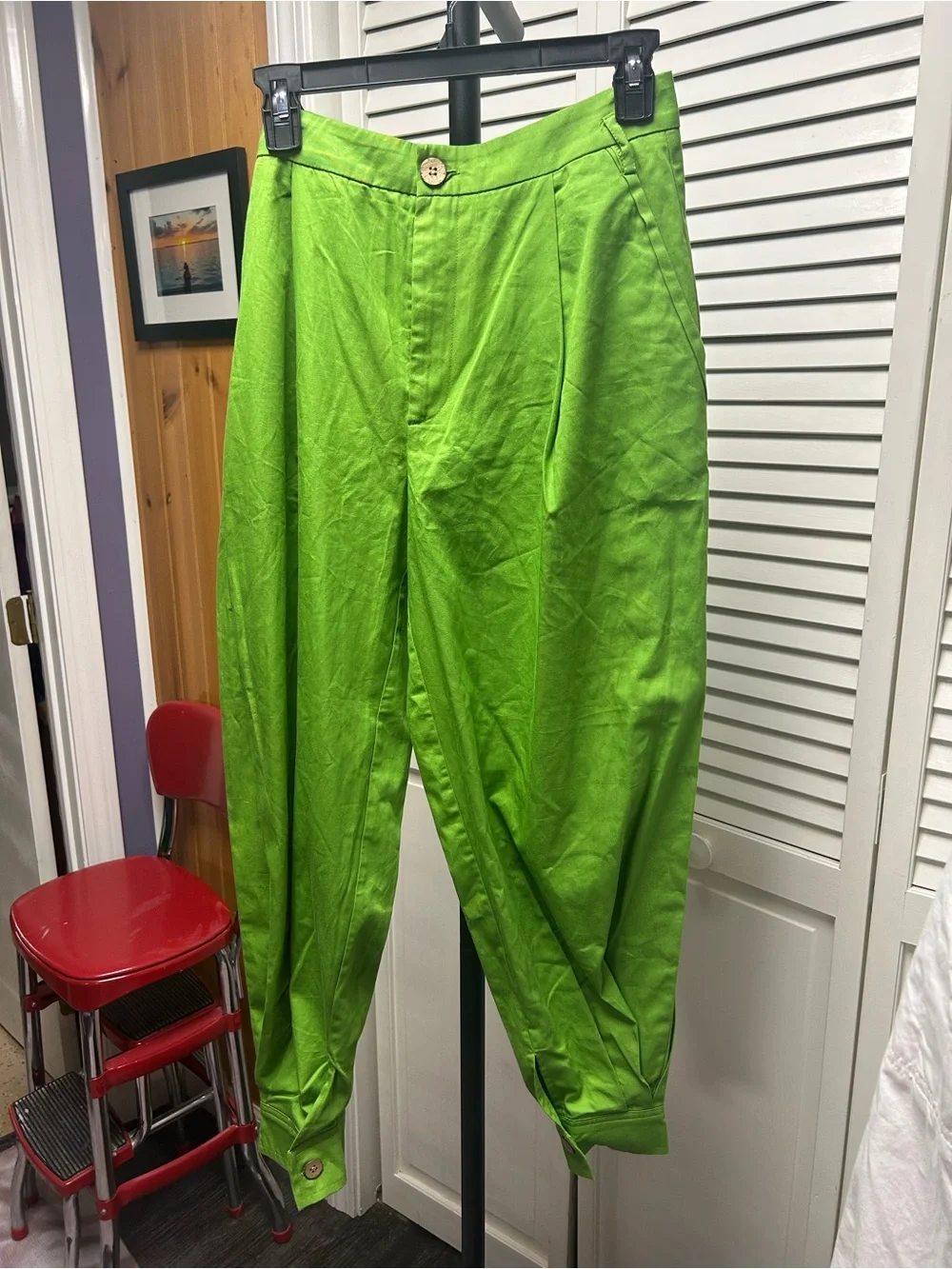 Nwot High-Waist Olive Green Pleated Ankle Pants